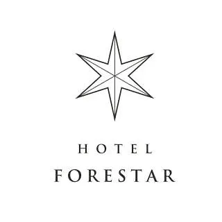 Forestar Hotel 2*